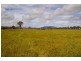 Longwood VIC 3665