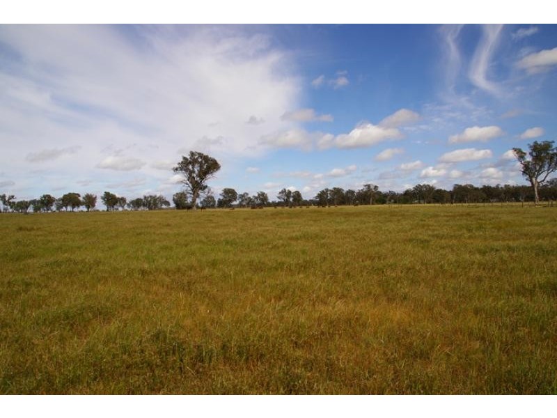 Longwood VIC 3665