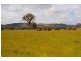 Longwood VIC 3665