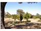 22 Lynslane road, Ruffy VIC 3666