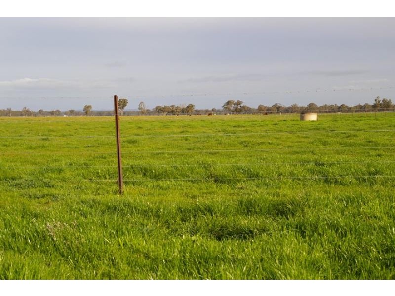1462 Murchison – Violet Town Road, Arcadia VIC 3631