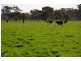 1462 Murchison – Violet Town Road, Arcadia VIC 3631