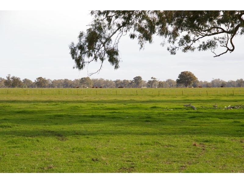1462 Murchison – Violet Town Road, Arcadia VIC 3631