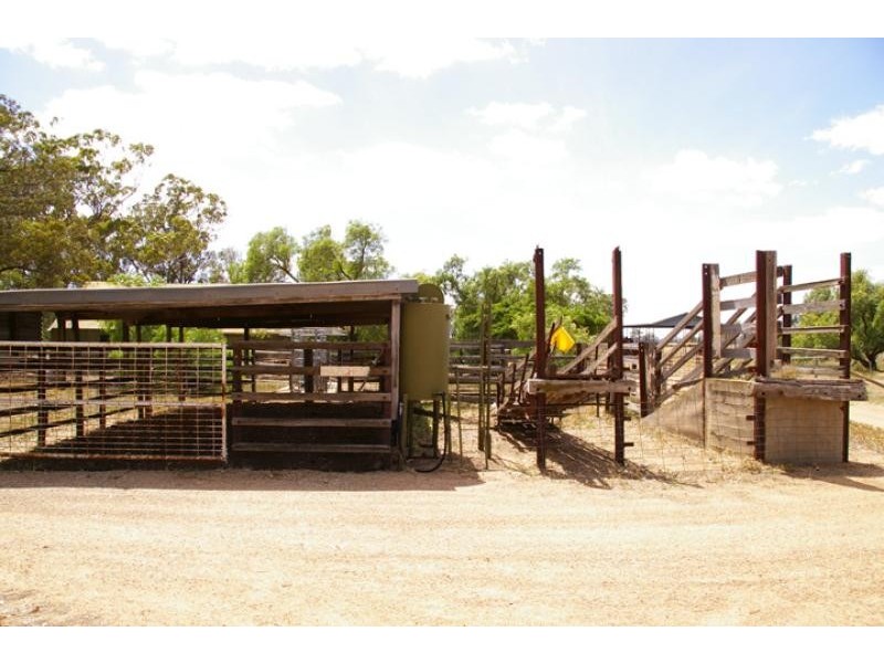 1462 Murchison – Violet Town Road, Arcadia VIC 3631