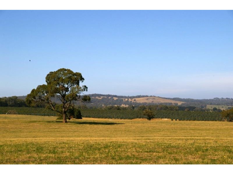 21 Creightons Creek Road, Ruffy VIC 3666