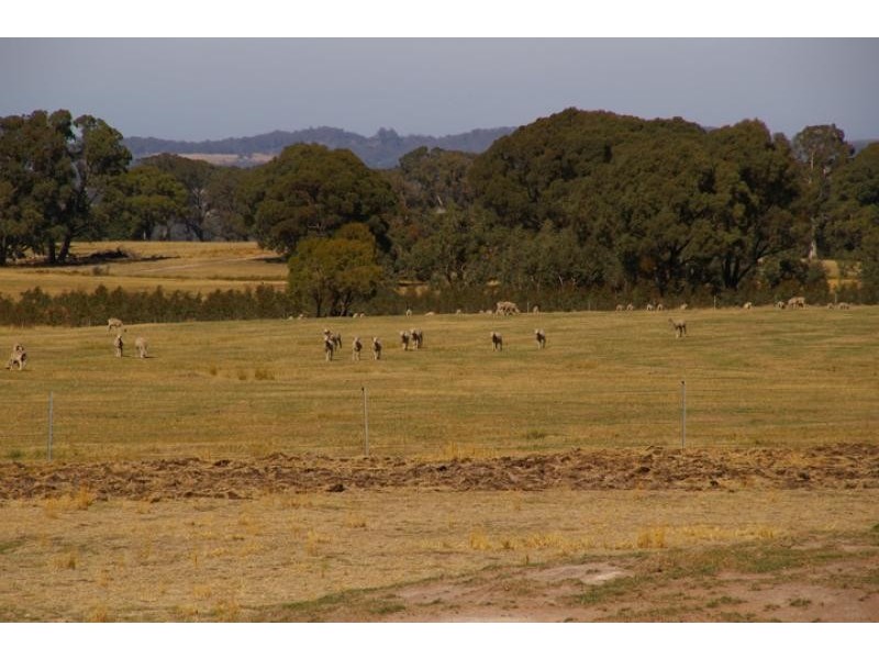 21 Creightons Creek Road, Ruffy VIC 3666