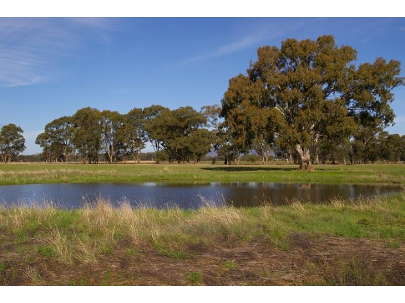 Violet Town VIC 3669