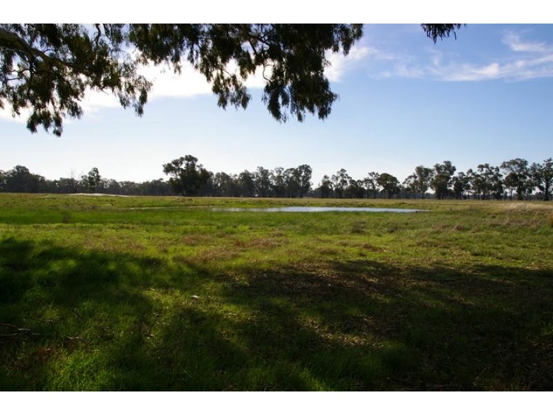 Violet Town VIC 3669