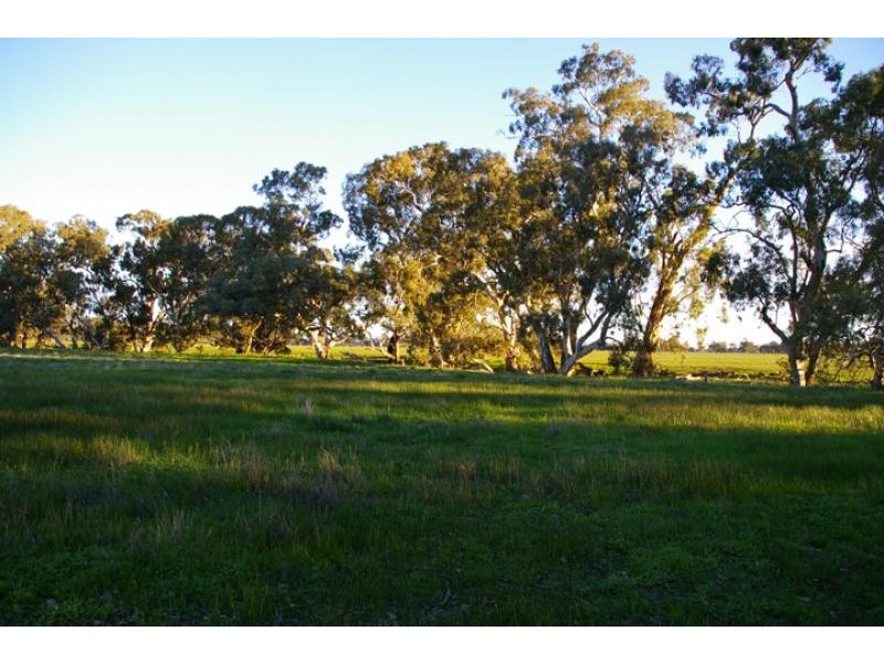 Violet Town VIC 3669