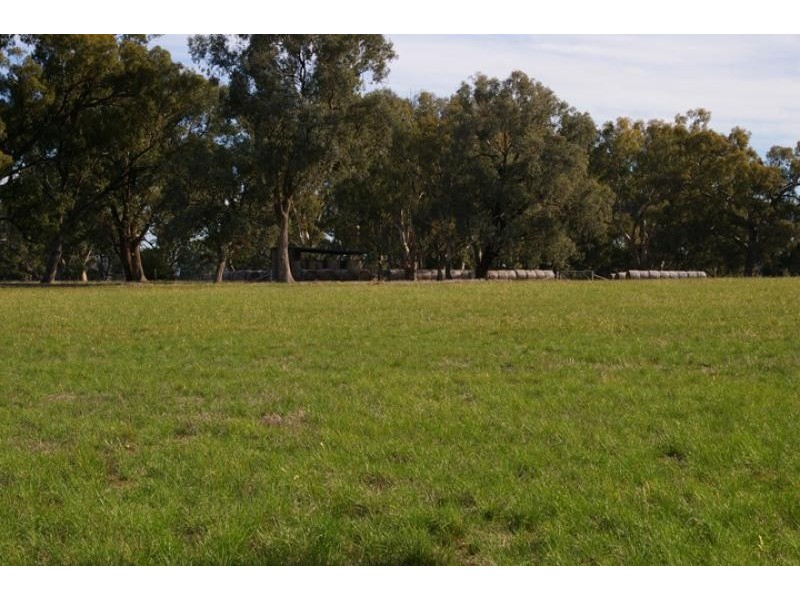 Violet Town VIC 3669