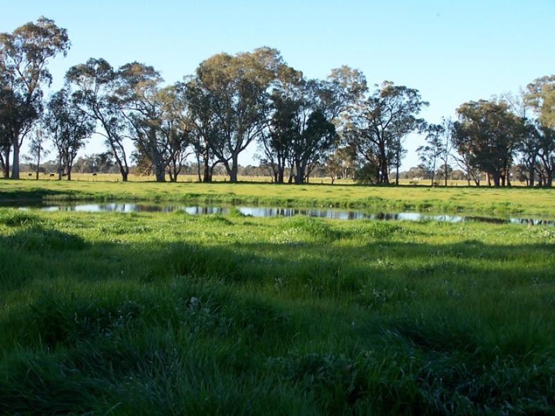 Violet Town VIC 3669