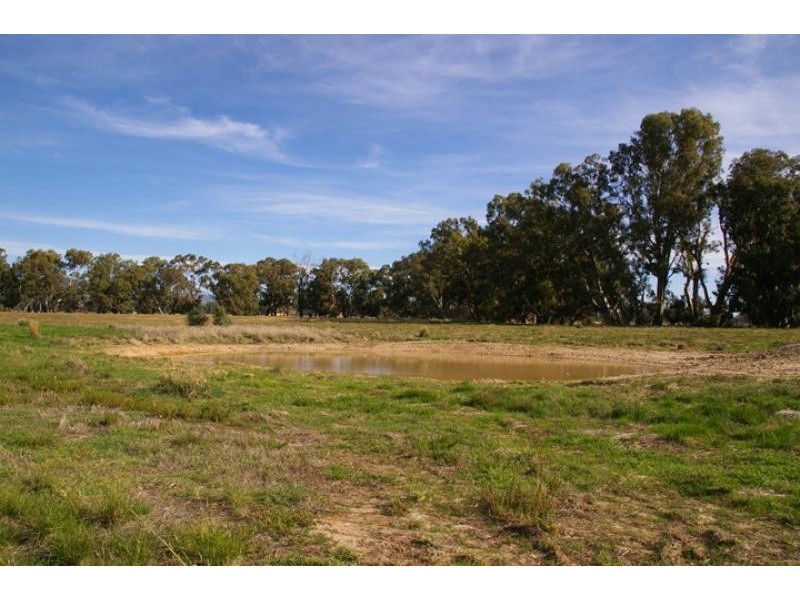 Violet Town VIC 3669