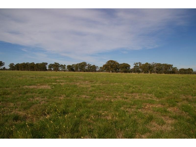 Violet Town VIC 3669