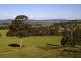 1 Carpenters Lane, Strathbogie VIC 3666