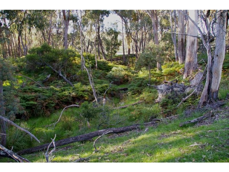 1 Carpenters Lane, Strathbogie VIC 3666