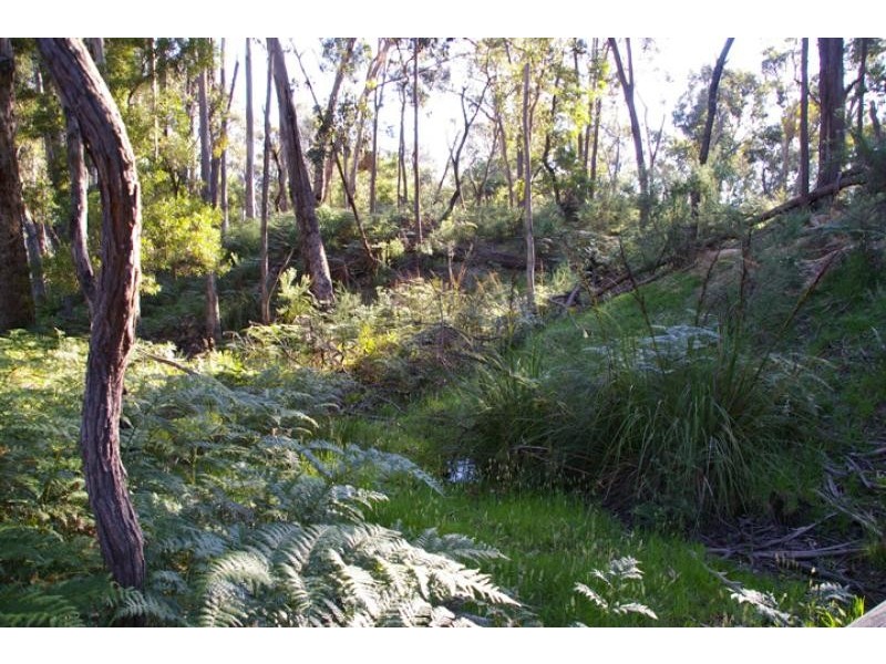 1 Carpenters Lane, Strathbogie VIC 3666