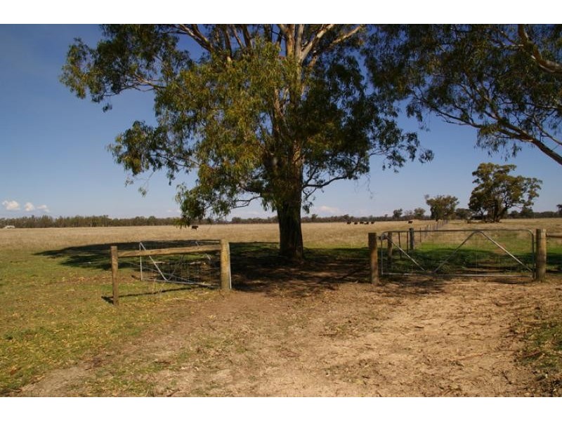 73/ Murchison – Violet Town Road, Molka VIC 3666