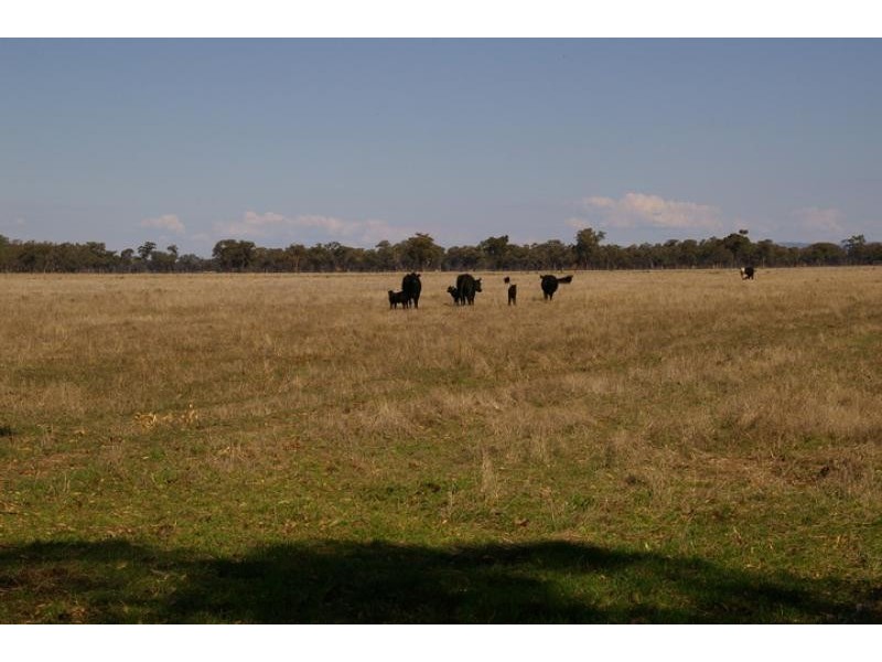 73/ Murchison – Violet Town Road, Molka VIC 3666