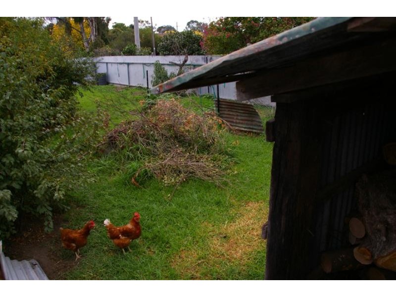 31 Weir Street, Euroa VIC 3666