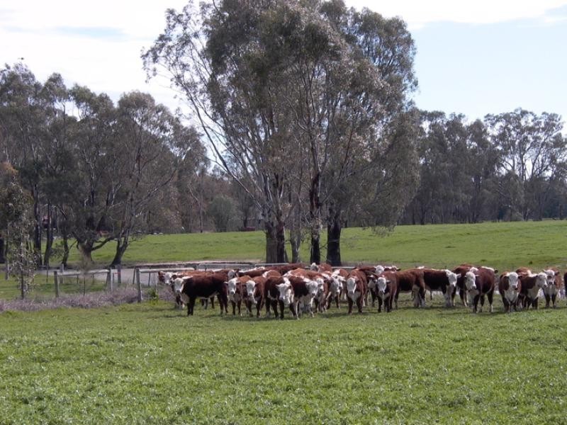 6380 Goulburn Valley Highway, Arcadia VIC 3631