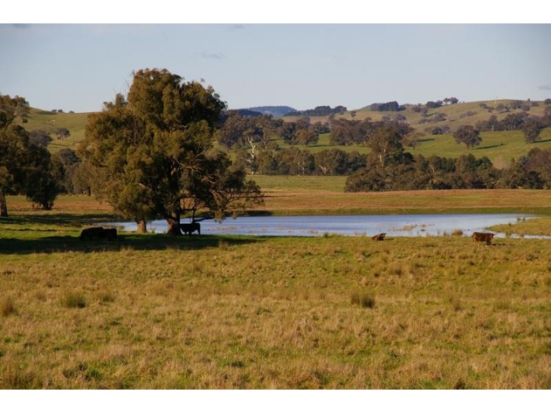 2932 Merton – Euroa road, Merton VIC 3715