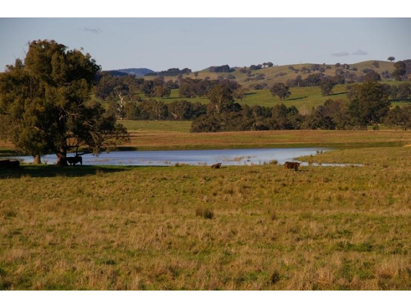 2932 Merton – Euroa road, Merton VIC 3715