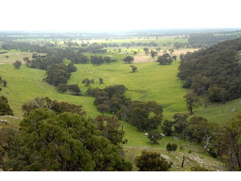 259 McKenzies road, Locksley VIC 3665