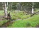 259 McKenzies road, Locksley VIC 3665