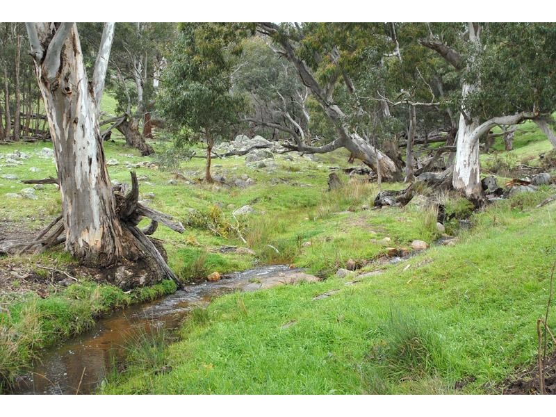 259 McKenzies road, Locksley VIC 3665