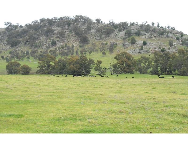 259 McKenzies road, Locksley VIC 3665