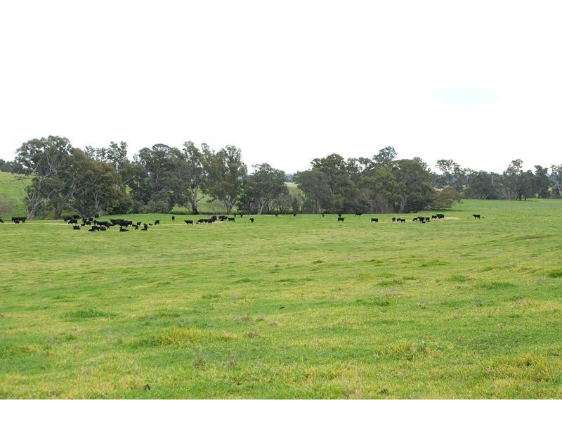 259 McKenzies road, Locksley VIC 3665