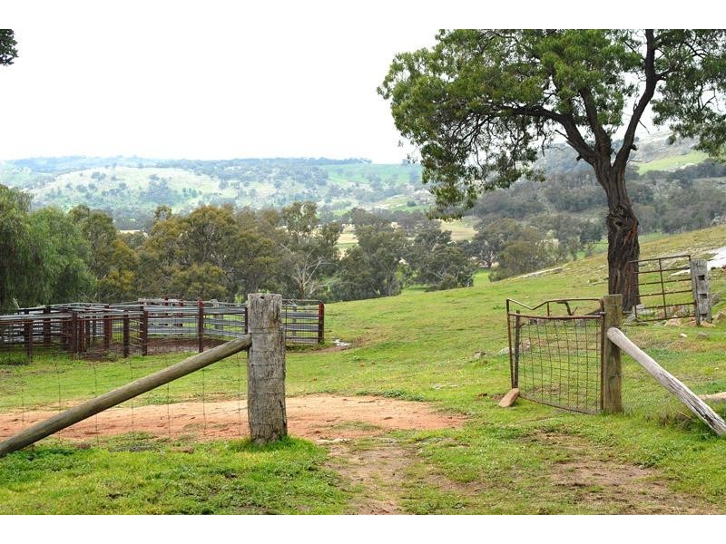 259 McKenzies road, Locksley VIC 3665