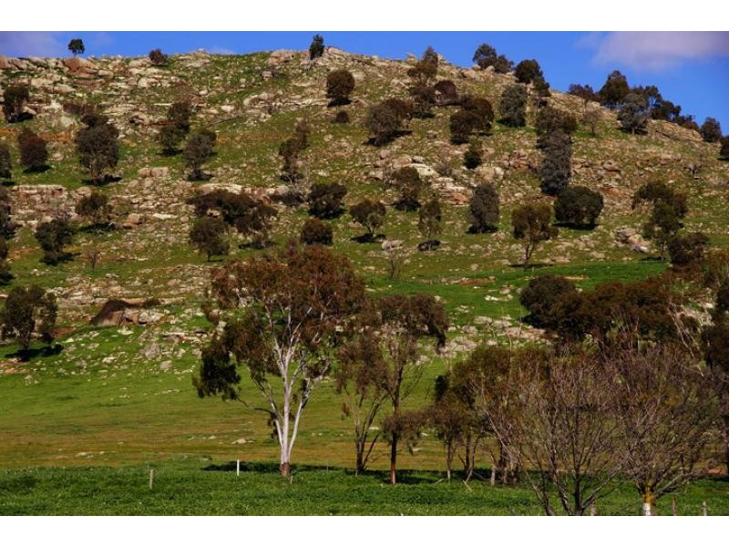 302 Cemetery Lane, Euroa VIC 3666