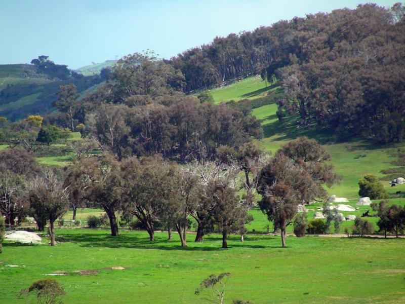 265 Ponkeen Creek road, Ruffy VIC 3666