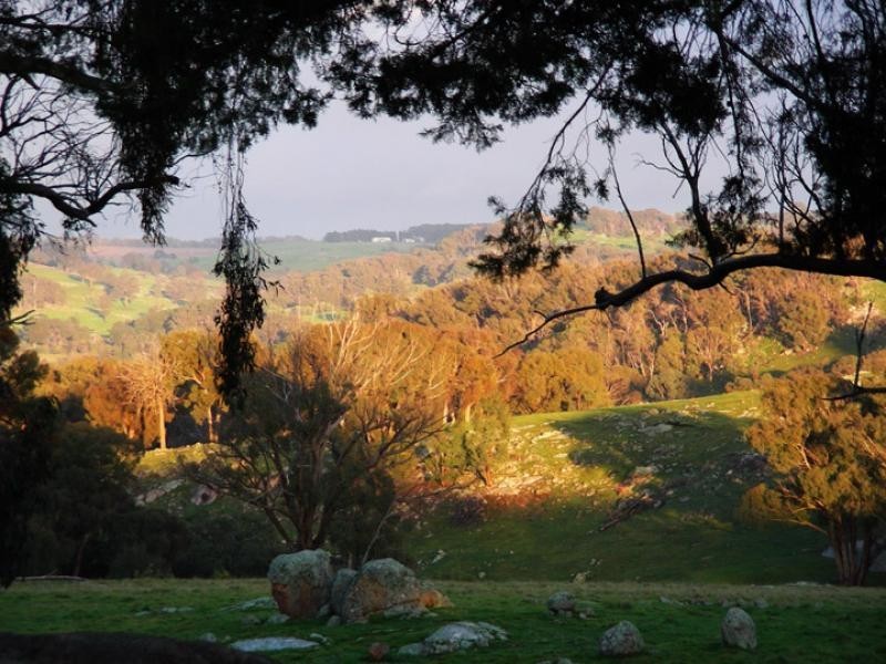 265 Ponkeen Creek road, Ruffy VIC 3666