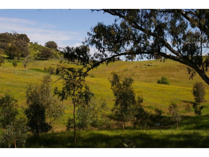 55 Saw pit gully road, Boho VIC 3669