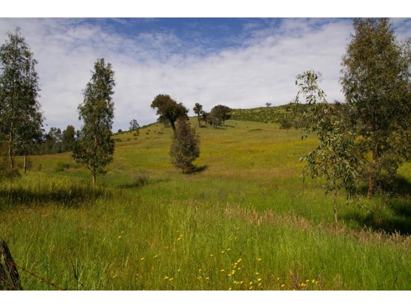 55 Saw pit gully road, Boho VIC 3669