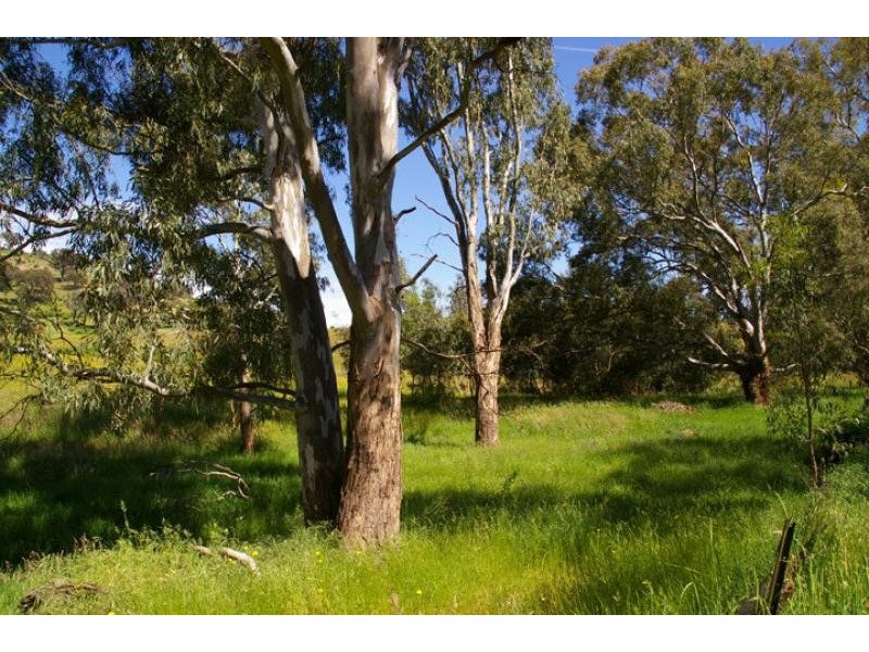 55 Saw pit gully road, Boho VIC 3669