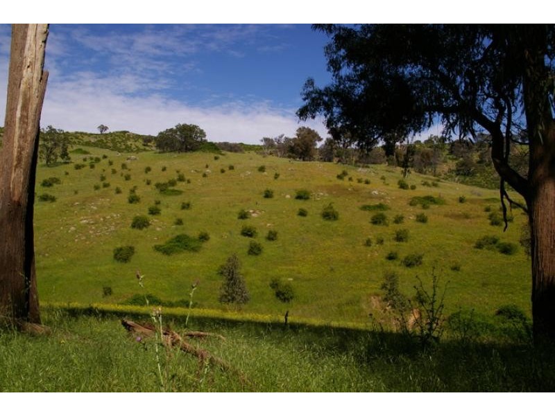 55 Saw pit gully road, Boho VIC 3669