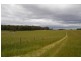 129 Jackas lane, Strathbogie VIC 3666