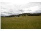129 Jackas lane, Strathbogie VIC 3666