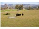 129 Jackas lane, Strathbogie VIC 3666