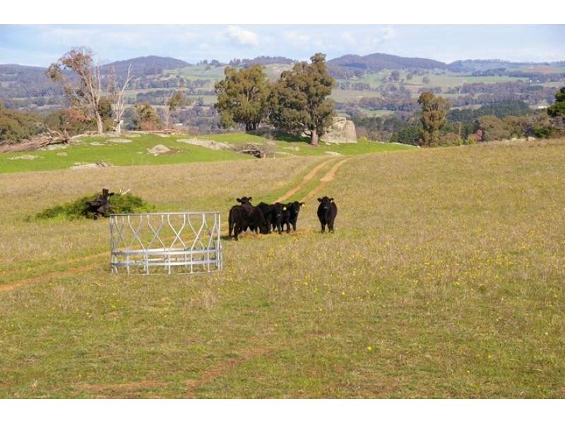 129 Jackas lane, Strathbogie VIC 3666