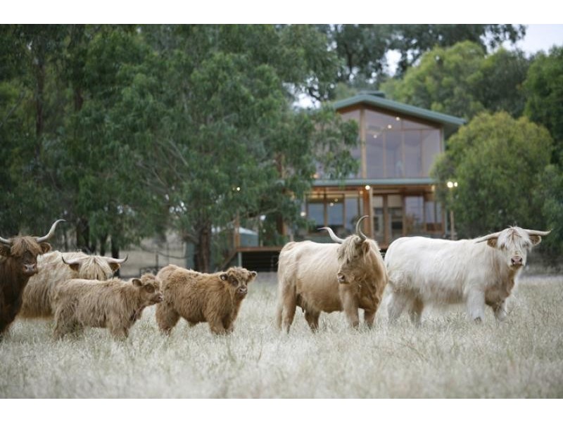 392 Warrenbayne west road, Violet Town VIC 3669