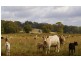 456 bonnie doon road, Strathbogie VIC 3666