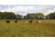 456 bonnie doon road, Strathbogie VIC 3666