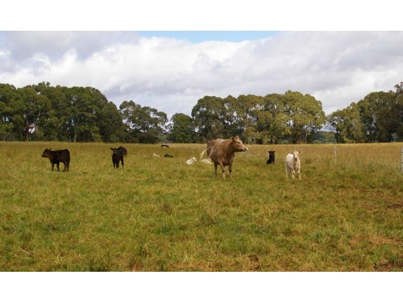 456 bonnie doon road, Strathbogie VIC 3666