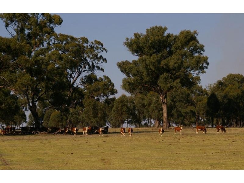 3020 Tubbs road, Miepoll VIC 3666