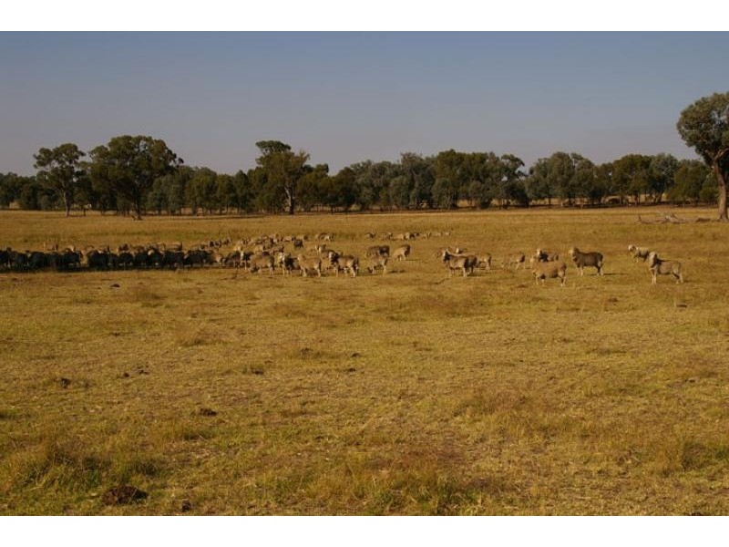 3020 Tubbs road, Miepoll VIC 3666