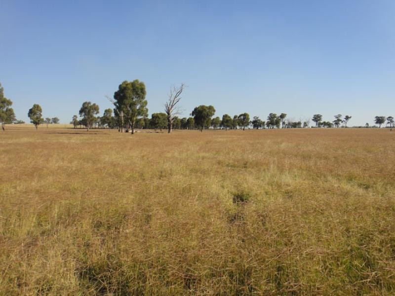 3020 Tubbs road, Miepoll VIC 3666